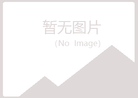 铁山区歪斜美容有限公司